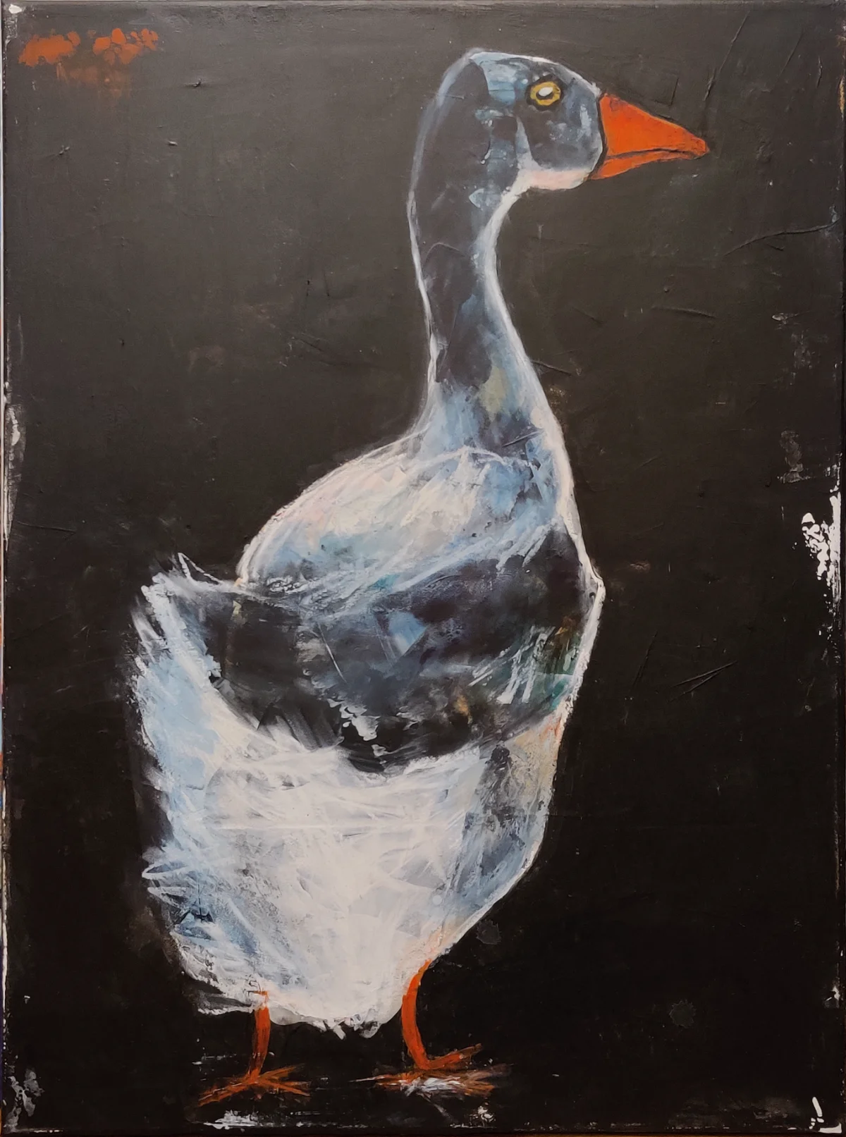 Die Anmut im Dunkeln