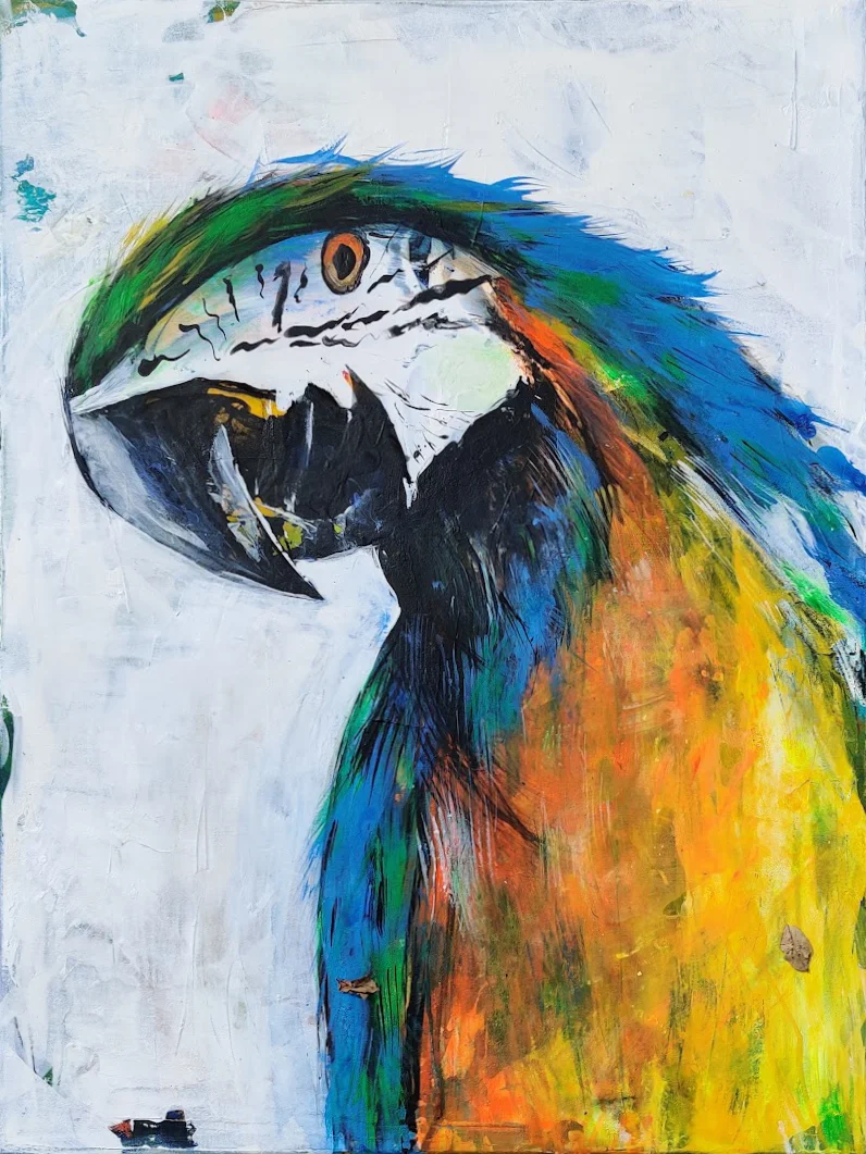 Die Farbenpracht der Federn